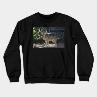 Grey Wolf Crewneck Sweatshirt